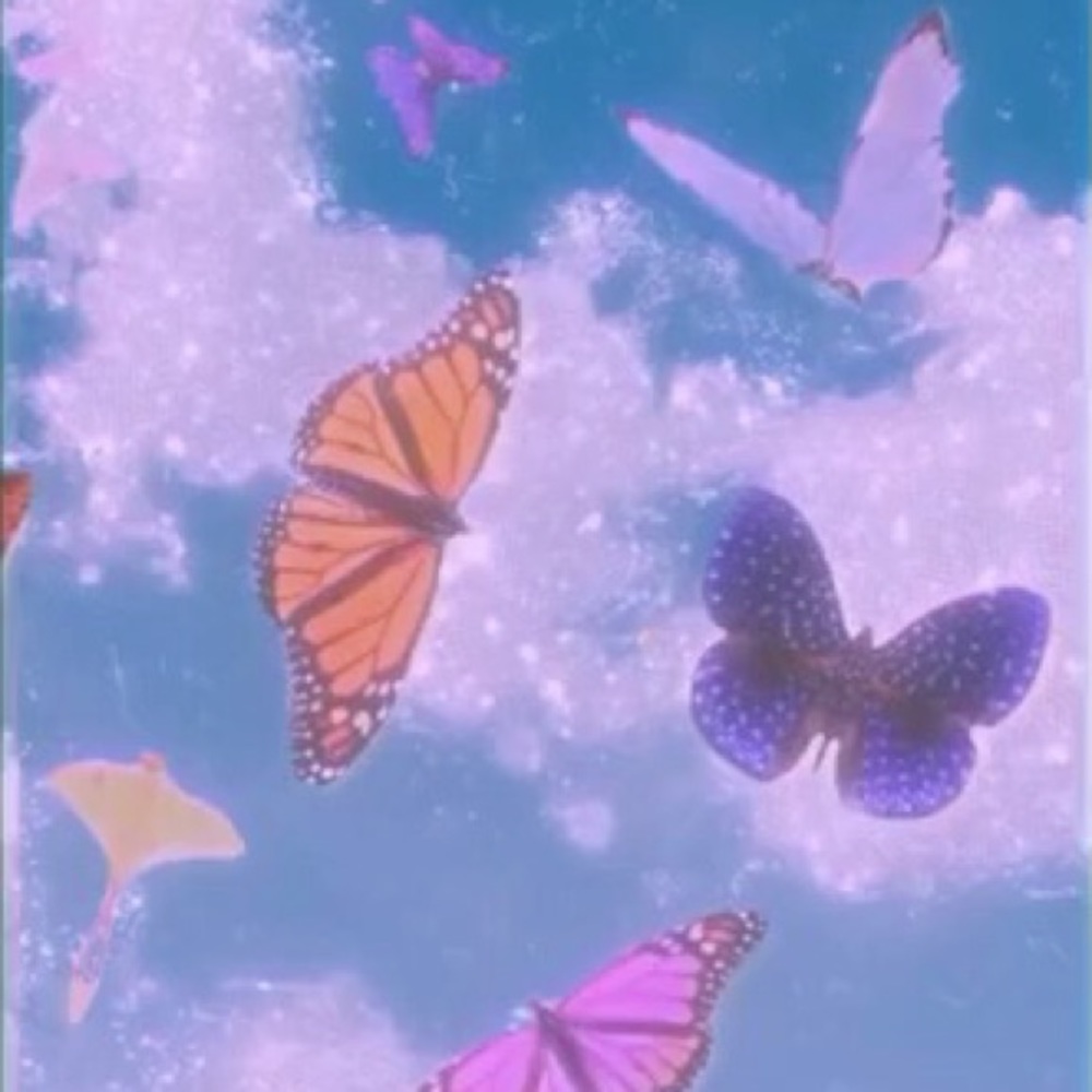 Meet your Posher, Kala